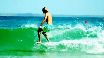 Hello Haro – Harrison Roach