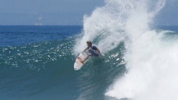 Yadin Nicol