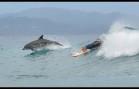 イルカとサーフィン バイロン・ベイ オーストラリア