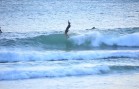 Fine Surfcraft by Andrew Warhurst