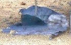 バハサーフセッション