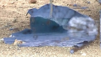 バハサーフセッション
