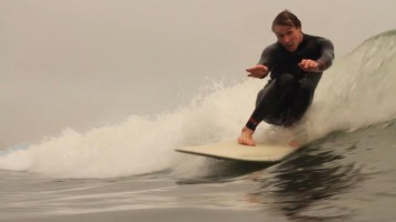 Daily Shred