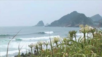 世界のロングボーダーが日本の四季を巡る旅