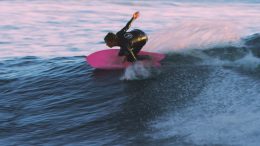 PINK FISH Ryan Burch 他